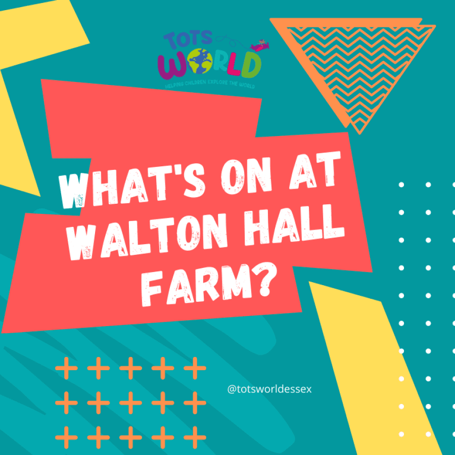 Whats on at Walton Hall Farm