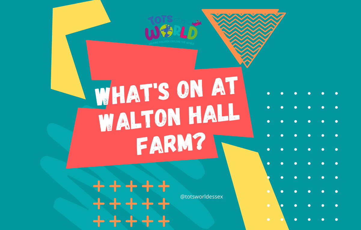 Whats on at Walton Hall Farm